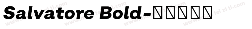Salvatore Bold字体转换